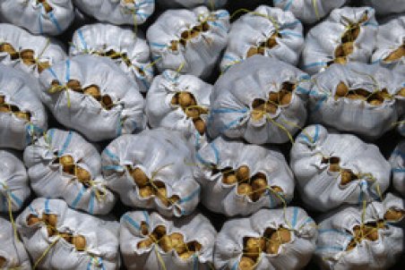 بعضی از محصولات کشاورزی مصرفی مردم سلامت کامل ندارد