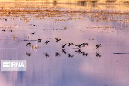 حقابه های زیست محیطی  رودخانه ها و تالاب های کشور ابلاغ شد