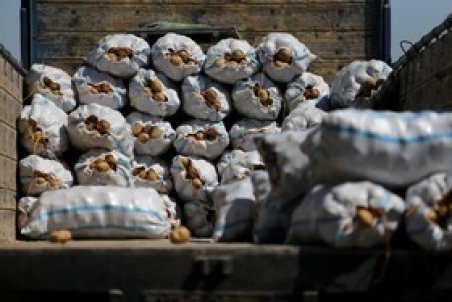 توضیحات معاون وزیر کشور درباره برگشت برخی محصولات کشاورزی صادراتی به کشور