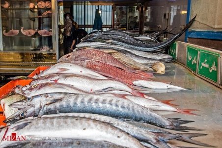 قیمت ماهی هیچ تغییری نداشته است