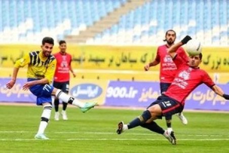 یک گربه تماشاگر ویژه لیگ برتر شد!/عکس