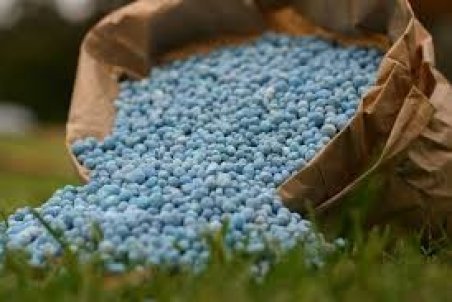 ابعاد نگران‌کننده میلیون‌ها دلار واردات سمی!