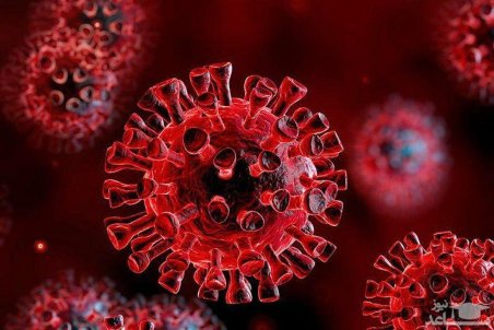 فوتی های کرونایی در آذربایجان غربی تک رقمی است