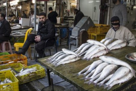 افزایش ۸۰ درصدی قیمت ماهی