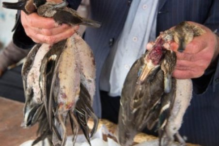 موردِ عجیب قتلگاه فریدون‌کنار!