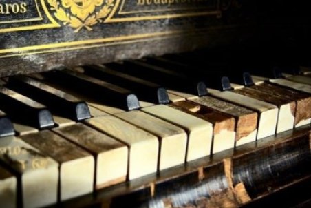 بی‌اطلاعی گمرک بوشهر از ارز تخصیصی برای محموله بزرگ آلات موسیقی