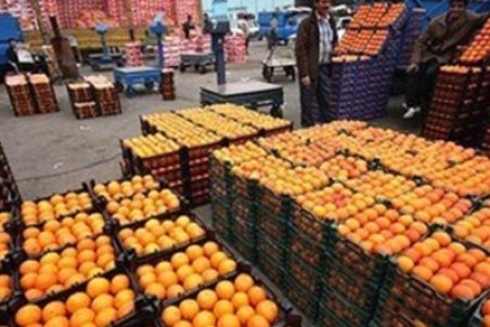 آب پاکی روی دست صادرکنندگان؛ فعلا خبری از پایانه صادراتی استان فارس نیست