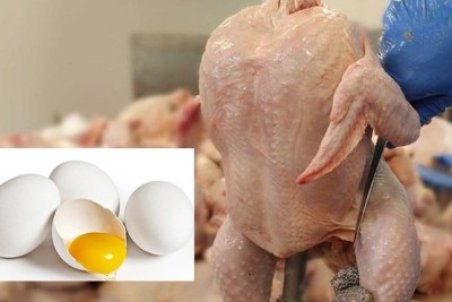 بازار مرغ و تخم‌مرغ به ثبات رسید/ دیگر نیازی به واردات تخم مرغ ‌نیست