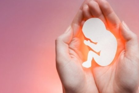 وقوع سالی بیش از ۴۰۰ هزار سقط جنین در کشور/ کاهش آمارهای سقط با اجرای درست قانون جوانی جمعیت