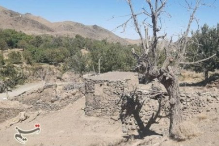 خشکسالی ۲۴۸۰ میلیارد تومان خسارت به بخش کشاورزی استان خراسان جنوبی وارد کرد