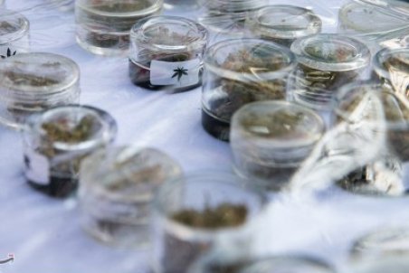 "کیک حشیش" چیست؟/ عوارض جبران‌ناپذیر مصرف "کانابیس‌ها"