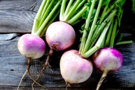 خواص، فواید و نحوه مصرف شلغم + فیلم