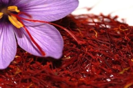 زعفران در بازار چند؟