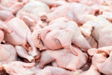 قیمت هرکیلو مرغ به ۲۹ هزار تومان رسید