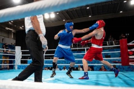 محمدی: خواسته عجیب و غریبی از فدراسیون بوکس نداریم