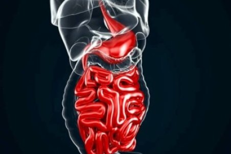 سم زدایی روده و کبد با خوردنی های طبیعی