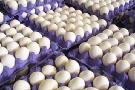 قیمت تخم مرغ باز هم کاهش یافت