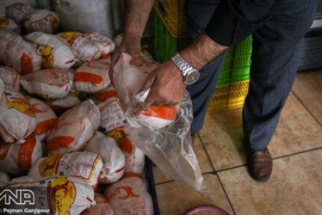 قیمت مرغ در سراسر اصفهان ۳۱ هزار تومان است