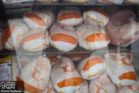 مرغ منجمد دیگر عرضه نمی‌شود