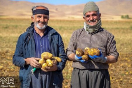 عدم نظارت بر سُموم، علت بازگشت محصولات صادراتی ایران است