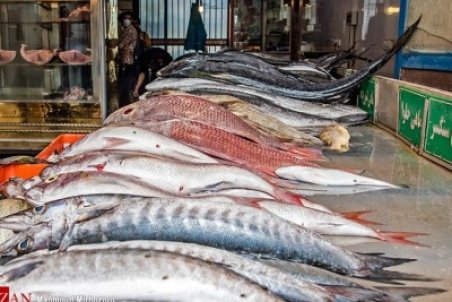 قیمت ماهی شب یلدا در میادین میوه و تره بار