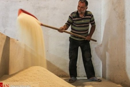 افزایش قیمت برنج ایرانی روی موج شایعات/قیمت برنج ایرانی در بازار ۳۷ الی ۶۲ هزار تومان است