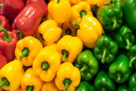 پشت پرده شایعه آلودگی فلفل‌های دلمه‌ای ایران/ کم‌کاری سازمان حفظ نباتات دولت قبل