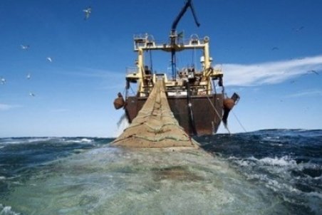 تخلیه صید تن ماهیان لنج های آبهای دور در سیریک آغاز شد