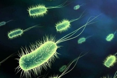 هیچ موردی از بیماری وبا در اهواز گزارش نشده است