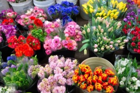 افزایش ۳۰ درصدی قیمت گل در شب یلدا