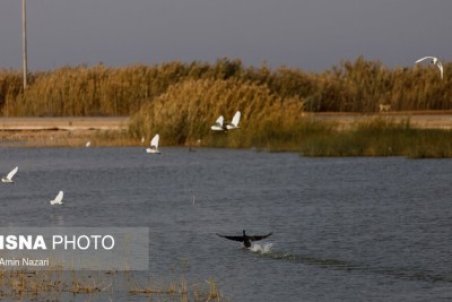 میانگران؛ تالابی که حق‌آبه ندارد