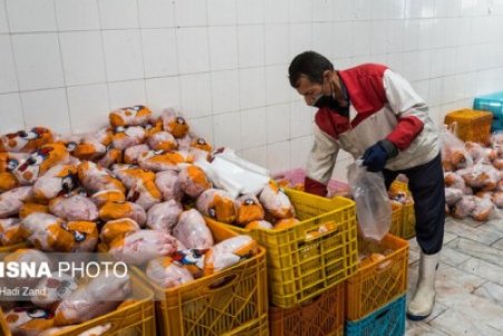 مرغ یخ‌زده وارداتی دردی از بازار دوا نمی‌کند!