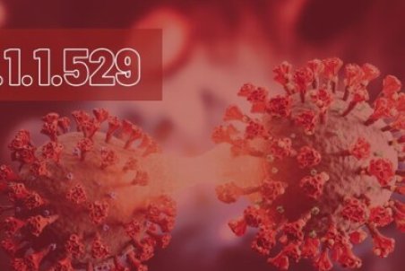 خبر خوب سازمان جهانی بهداشت درباره امیکرون