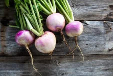 شلغم؛ خوراک روزهای سرد زمستانی