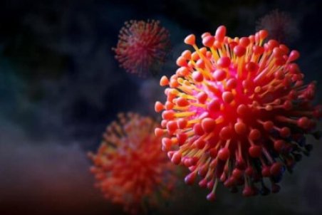 ایلام زرد شد