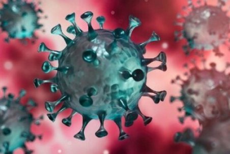 چطور شب یلدا را بدون کرونا بگذرانیم؟