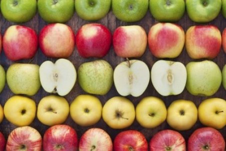 شاخص گلیسمی چیست و اهمیت آن برای تغذیه دیابتی ها