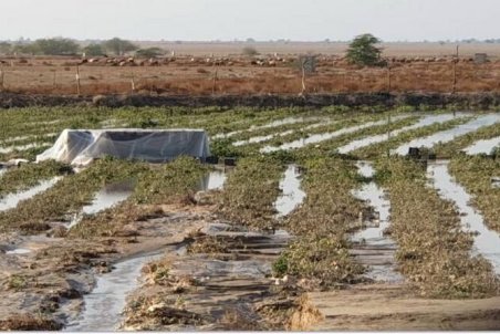 پرونده تخلفات سیل اردیبهشت ماه گرمسار به قوه قضاییه ارسال شد