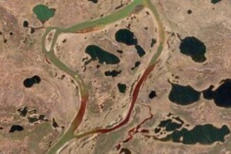 پاکسازی مناطق آلوده نفتی با راه حل های سبز