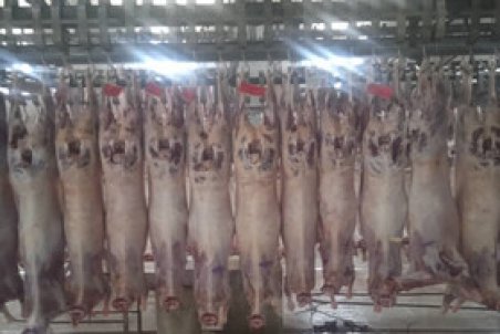 کشتارگاه ها پاییز امسال چقدر گوشت و مرغ عرضه کردند؟