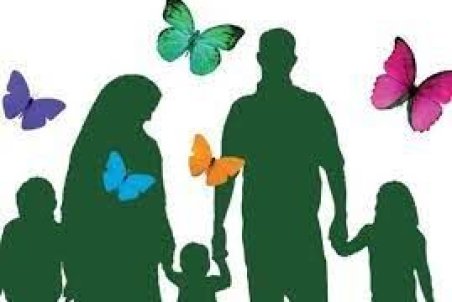 بررسی طرح «مشاوره رایگان و مستمر به خانواده‌های نوپا» در دولت آغاز شد