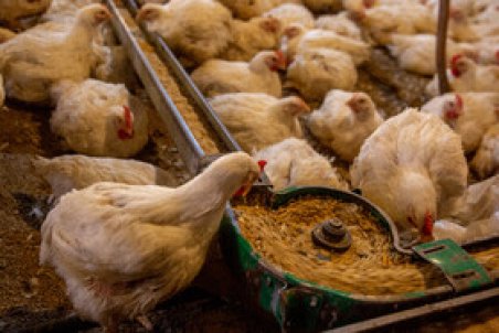 طرح دانش‌بنیانی که طی ۱۵ دقیقه سرمایه ۴ میلیاردی را جذب کرد