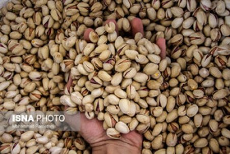 ایران جایگاه اول صادرات پسته به اروپا را از دست داده است
