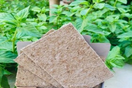 گلدان‌ها را با کارت‌های هوشمند تغذیه کنید