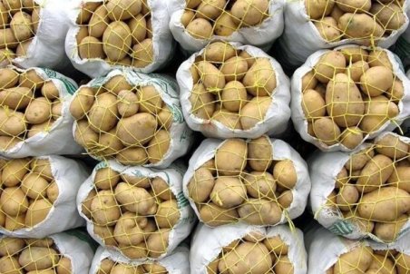 عرضه سیب‌زمینی بحرانی است/ احتمال واردات از پاکستان وجود دارد