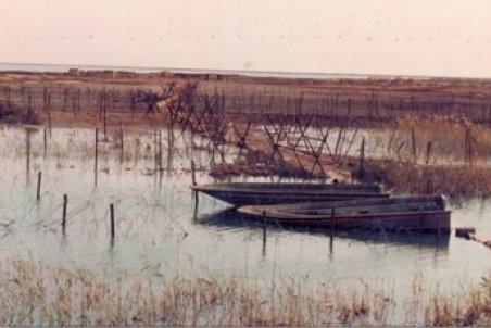 شفاف‌سازی به کلی سری درباره «کربلای ۴»