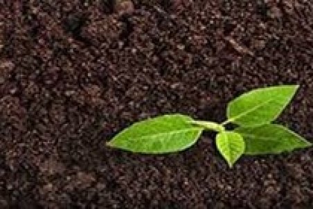 تثبیت و تقویت خاک با نانومواد