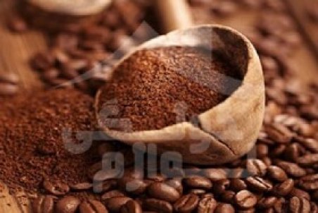 کشت قهوه در استان فارس