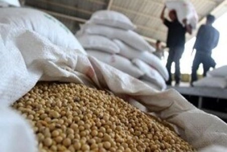 ماجرای فاسد شدن چندصد تن سویای دامی در بندر امام چیست؟