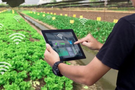 اجرای ۱۰ پروژه ملی برای نفوذ فناوری اطلاعات در تولید محصولات زیستی
